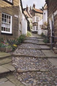 Bay Town Cobbled Alley